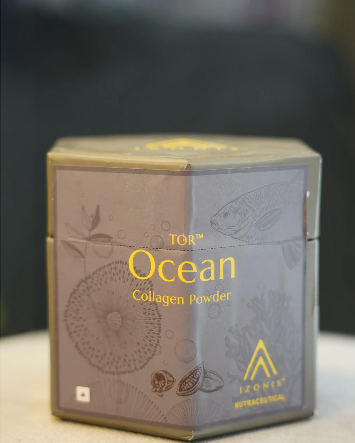 IZONIS TOR OCEAN COLLAGE POWDER (CHOCOLATE) 180G